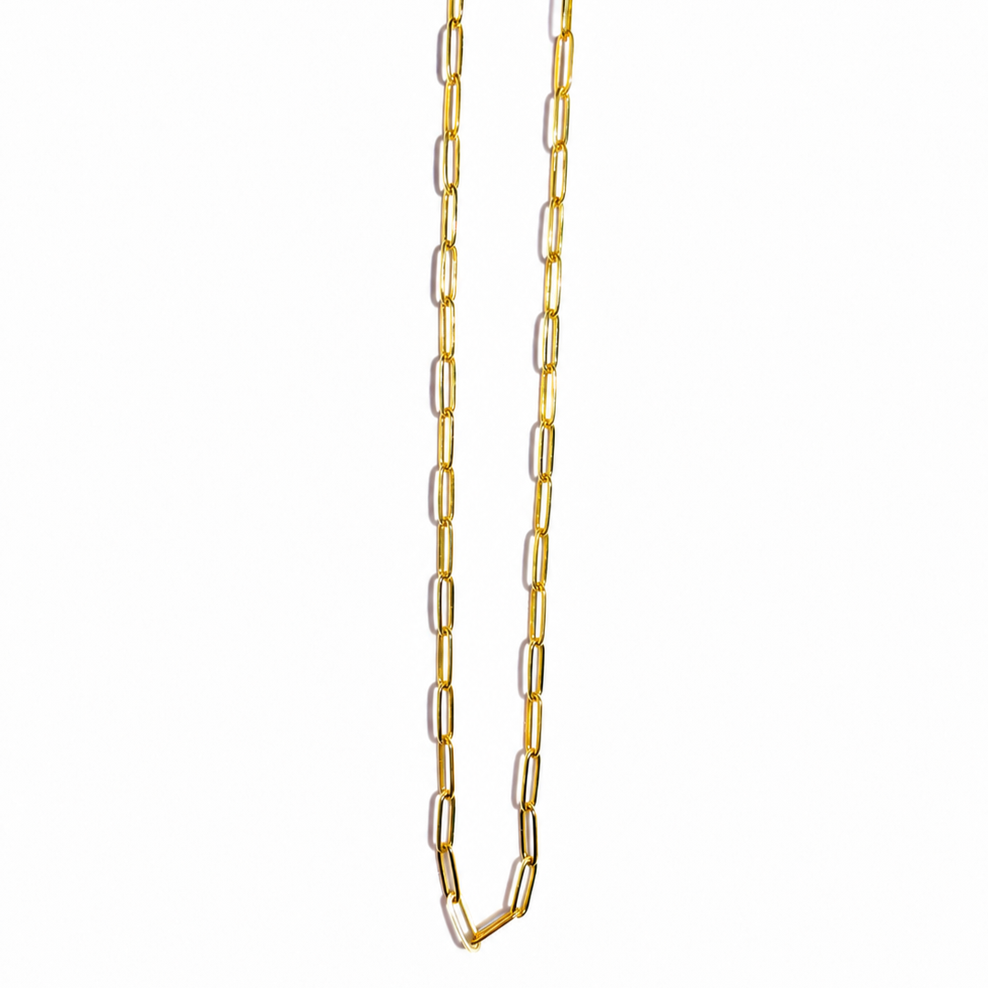 HERENCIA Long Link Necklace